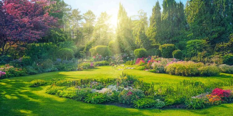 Mastering the Art of Organic Plant Pest Control: Strategies for a Thriving Garden