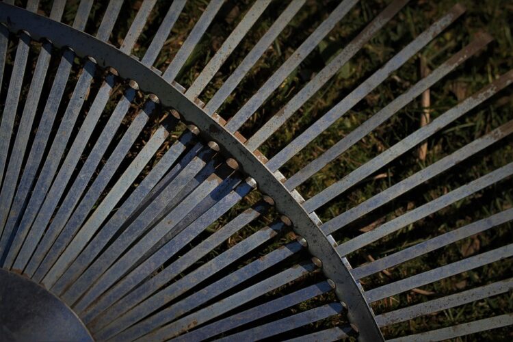 The Essential Gardener’s Arsenal: Must-Have Tools for a Blooming Garden