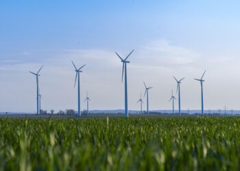 Sustainable Solutions: Harnessing the Power of Permaculture Principles for a Greener Future