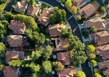 Green Solutions: Eco-Friendly Pest Control for a Sustainable Future