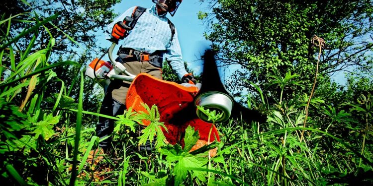 The Ultimate Guide to Thriving Indoor Plants: Tips and Tricks for Green Thumbs