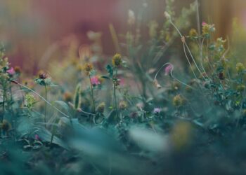 Thriving in Thyme: The Ultimate Guide to Growing an Indoor Herb Garden