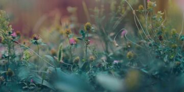 Thriving in Thyme: The Ultimate Guide to Growing an Indoor Herb Garden