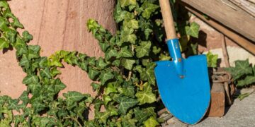 Revolutionizing Agriculture: The Latest Innovations in Planting Equipment