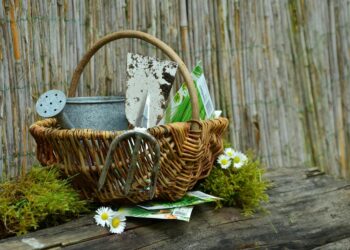 The Essential Guide to Must-Have Gardening Tools for a Flourishing Garden