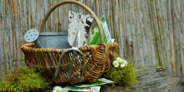 The Essential Guide to Must-Have Gardening Tools for a Flourishing Garden