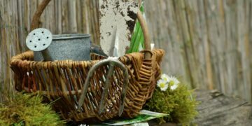 Mastering the Art of Precision: The Ultimate Guide to Pruning Shears