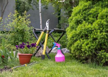 Nurturing Nature: The Ultimate Guide to Plant Growth Support