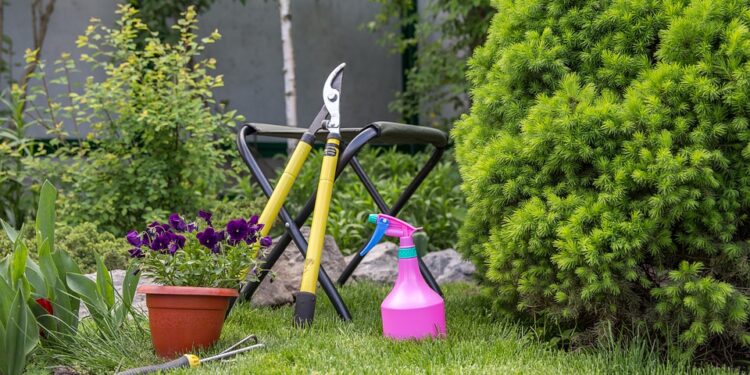 Nurturing Nature: The Ultimate Guide to Plant Growth Support