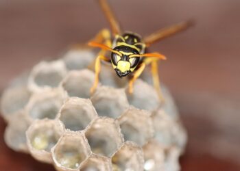 Revolutionizing Disease Treatment: A Breakthrough Approach to Healing