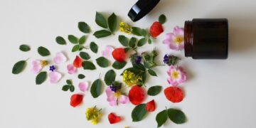 Mastering the Art of Plant Hydration: A Guide to Properly Watering Your Garden