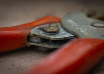 Essential Tools for Cultivating the Perfect Garden: Must-Have Gear for Green Thumbs