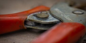 Essential Tools for Cultivating the Perfect Garden: Must-Have Gear for Green Thumbs