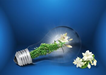 Growing Strong: How Climate-Resilient Gardening Can Save Our Planet