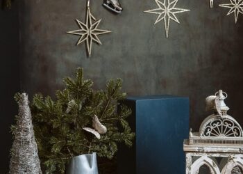 The Green Thumb Guide: Maximizing Indoor Plant Growth Success