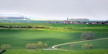 Rooted in Nature: The Benefits of Planting Native Species