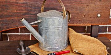 Protect Your Green Thumb: The Ultimate Guide to Choosing the Best Garden Gloves